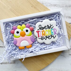 Best Teacher Owl- Gift Box of 2
